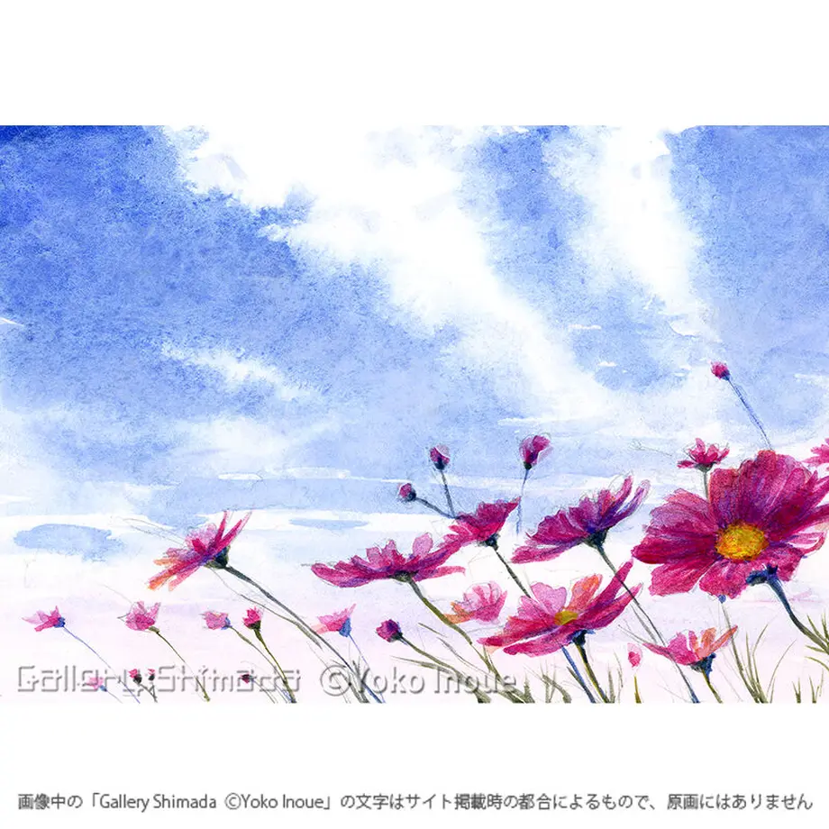 5fe43775f0b1083d5240ed6a