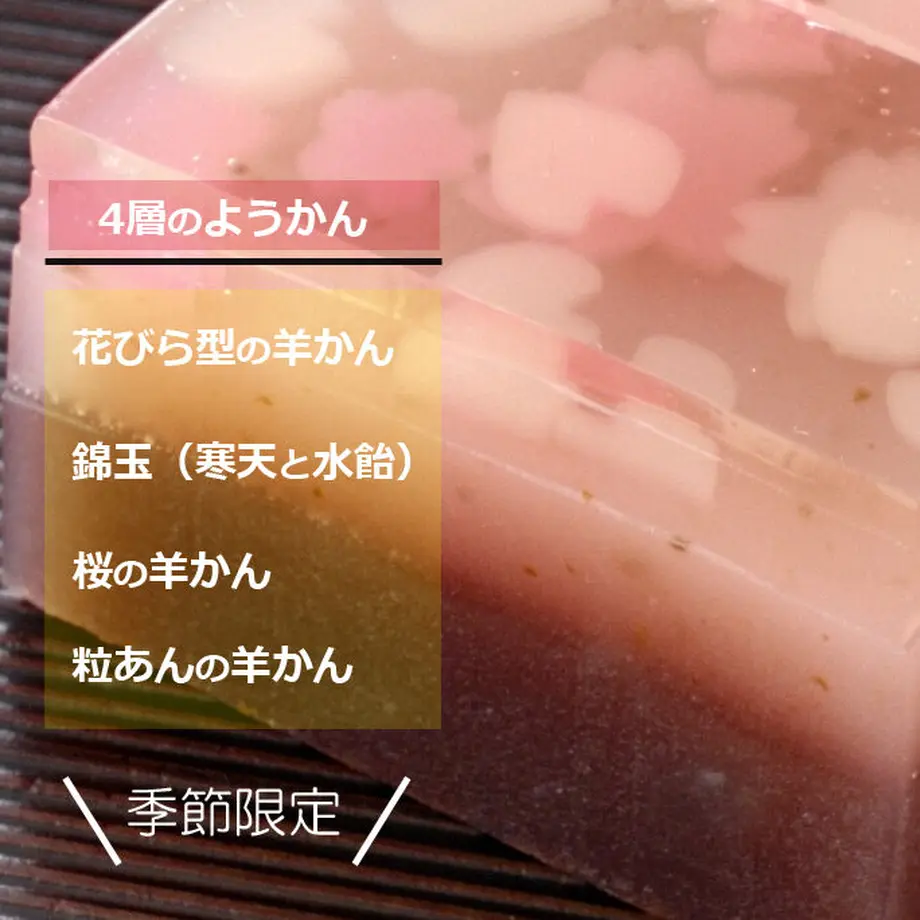 5ffe5653b00aa32f04ec1c10