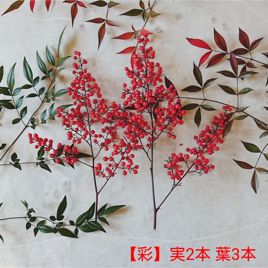 61837d3654ddd830132d89a4