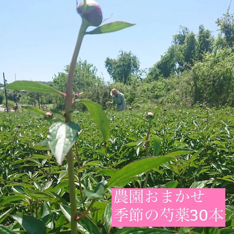 625f4e7e08e5e26e315a7fcc