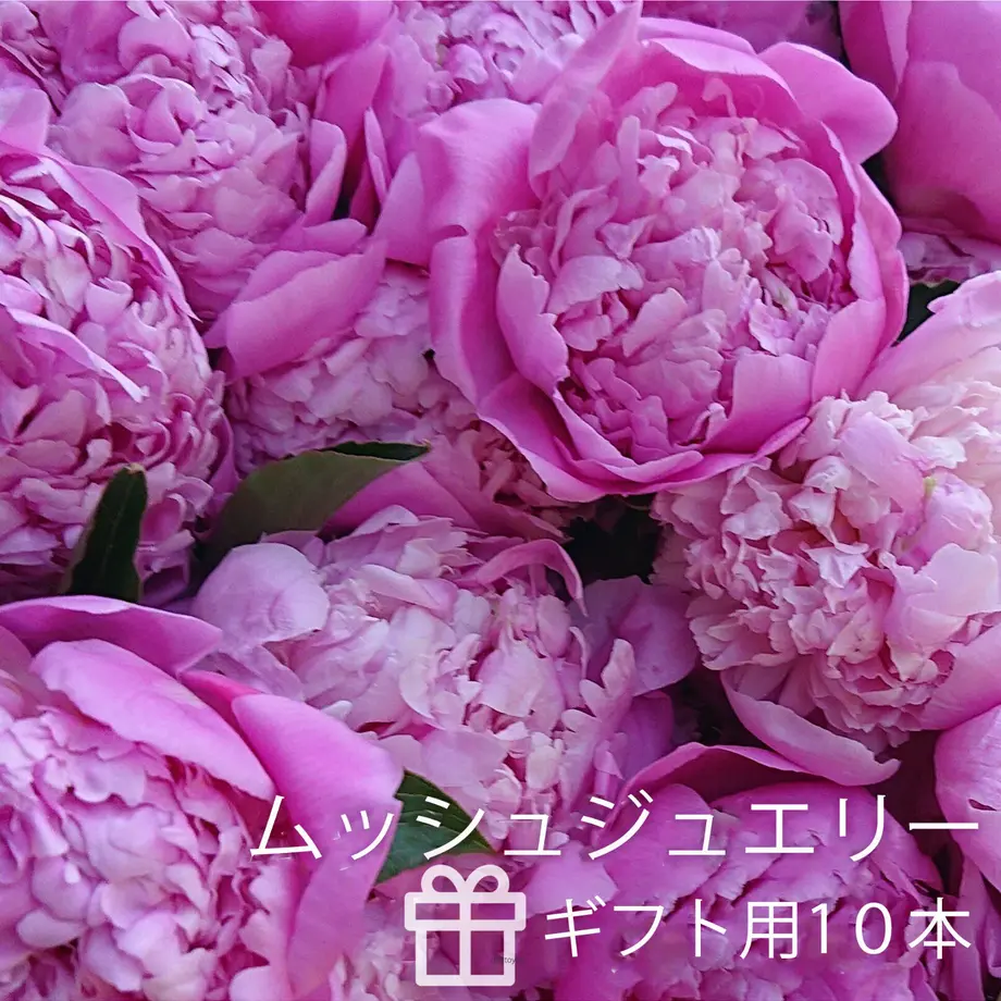 6041bd7b6e84d56a71e1ec07