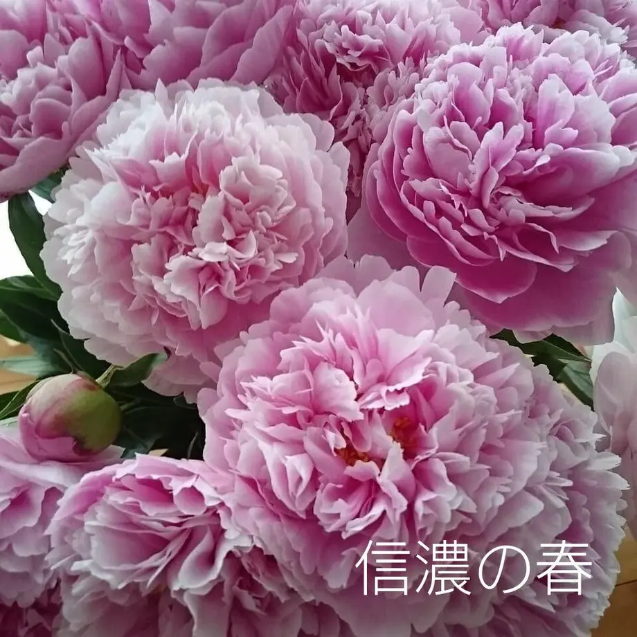 625f4e7e08e5e26e315a7fcc