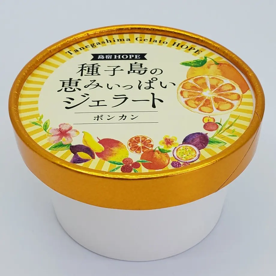 5e09a202da89645027aa6234