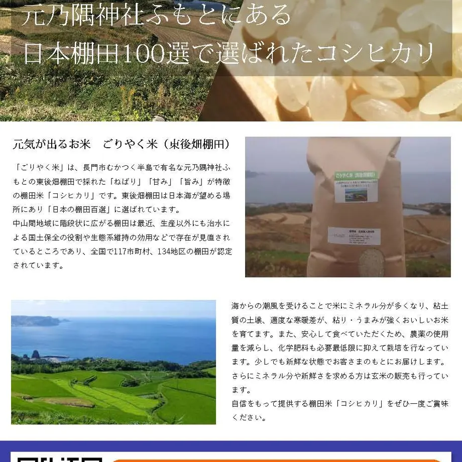 5e0942936c7d6355daf534a3