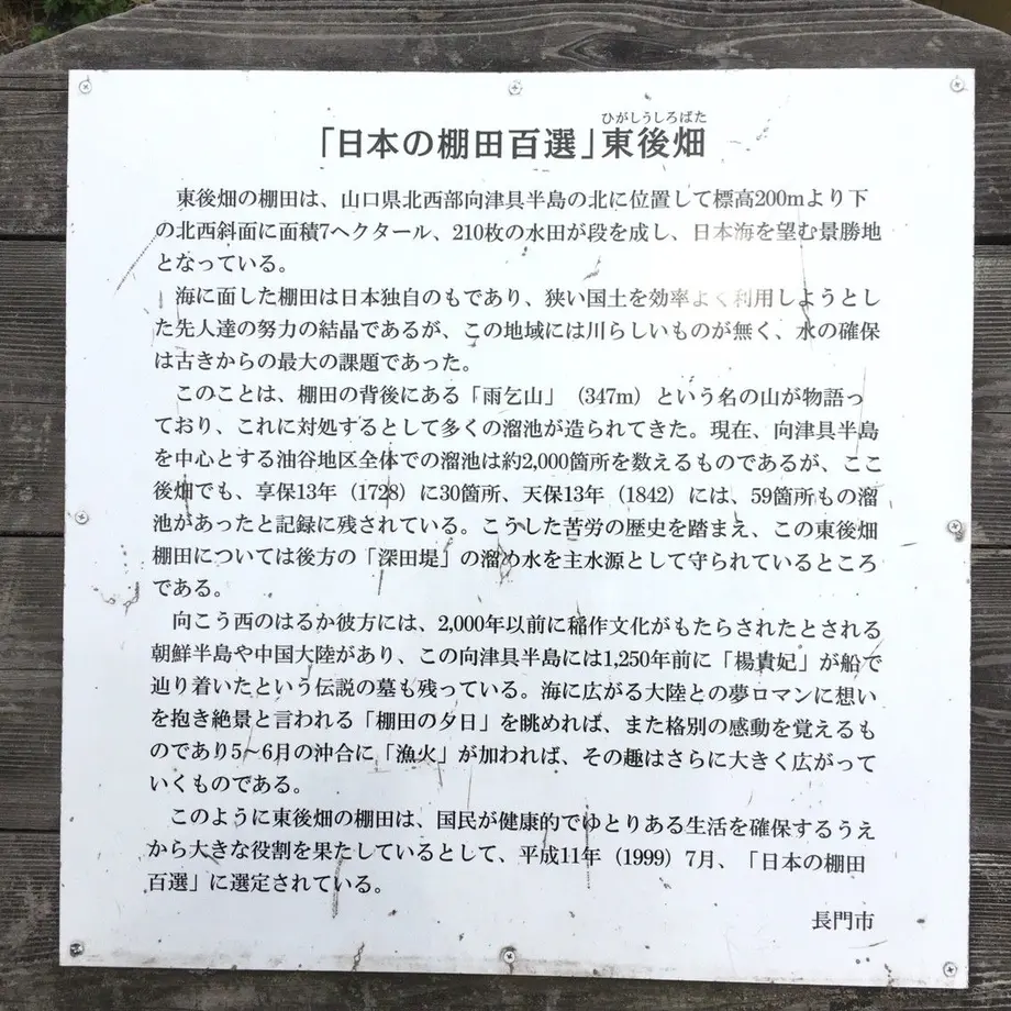 5e0bec585b120c29f31107b7