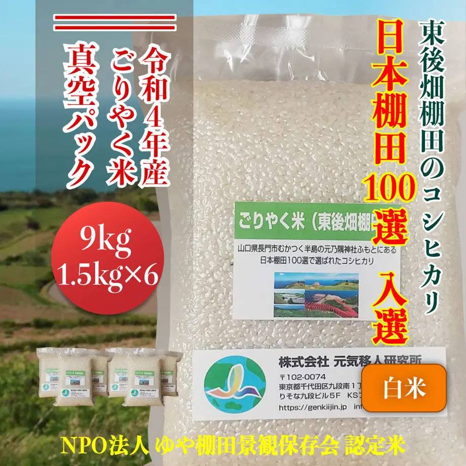 6356bb5af80f1e6684f2b388
