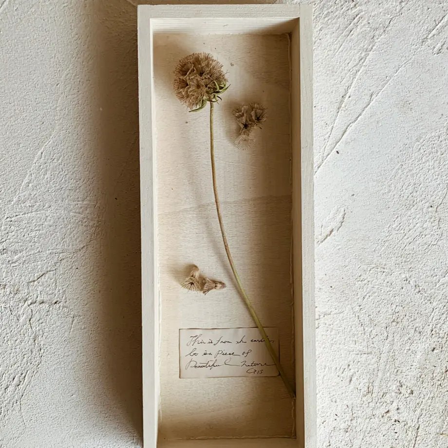 地球のかけら フレーム Sl 03 Gis Store