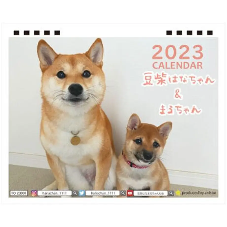 63496ef6597620794e35c90f