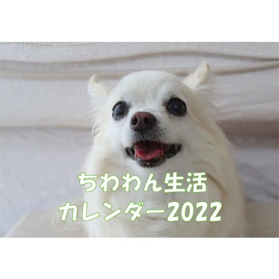 615f68a0c1209606b7d452b6