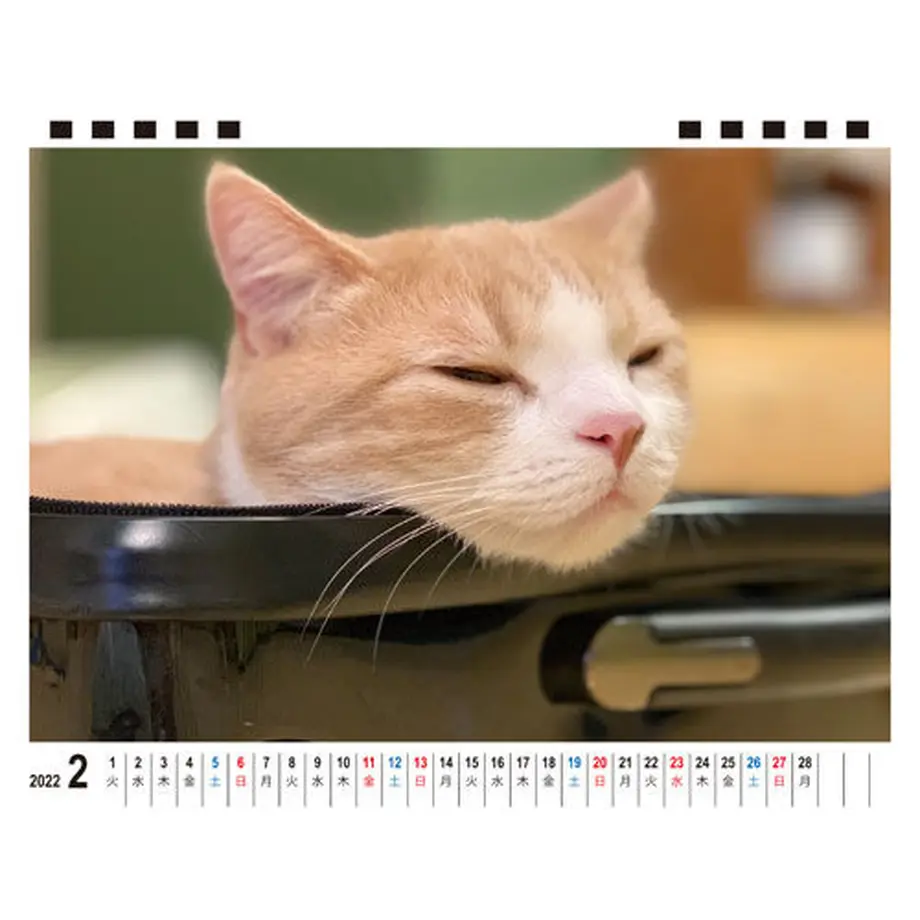 615f6e8fe1fb4c74a995738c