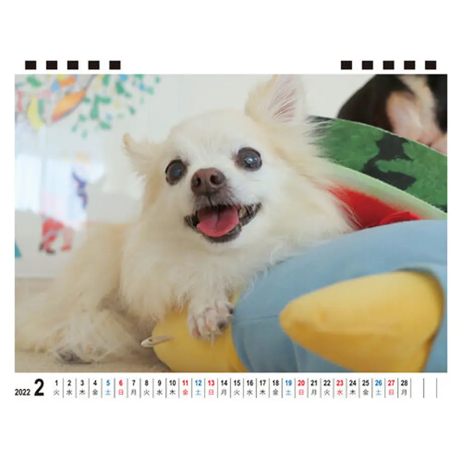 615f696151244e0cc422dd68