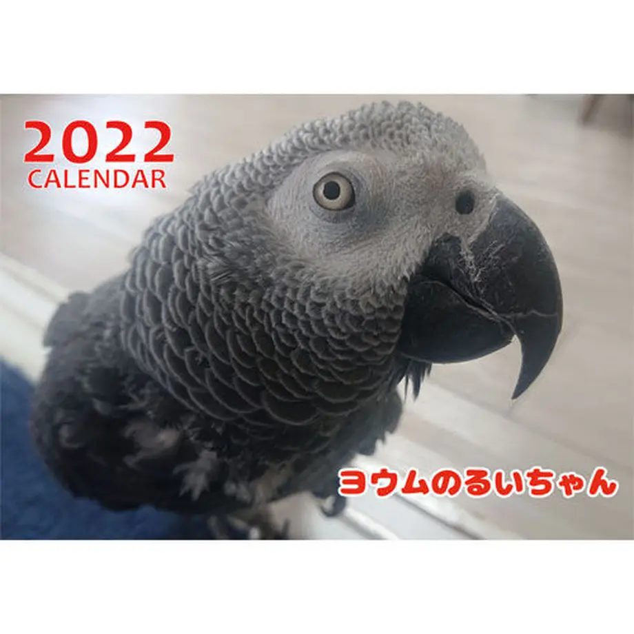 615f6c48c12096568cd455f6