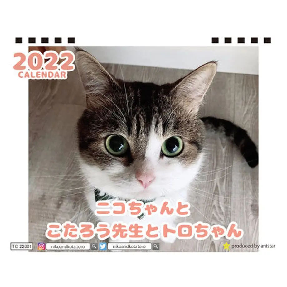 615f803bedf49f7fac8d4297