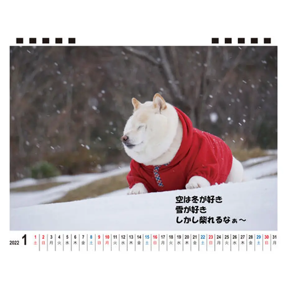 61665f34a92a787c86ff380e