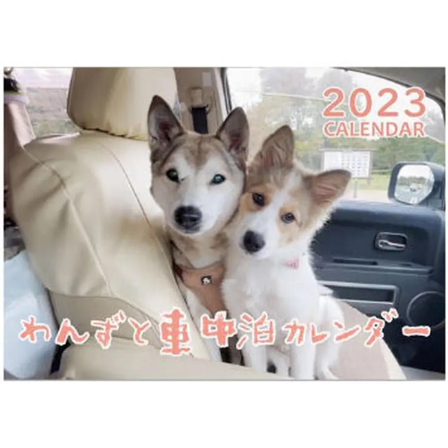 6363952d4292bf5215c58716