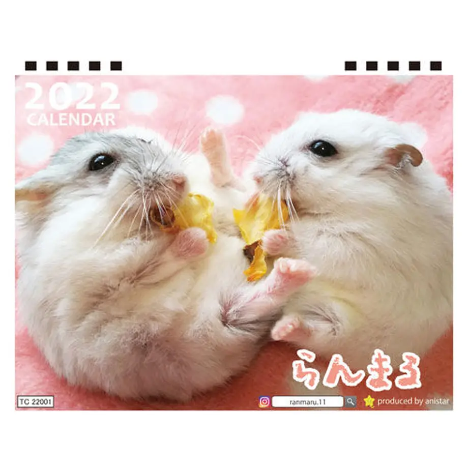 615f8498e1fb4c74a995742b