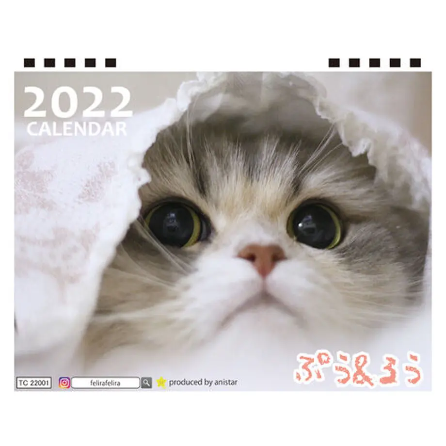 615f93bd603feb30a13e9227