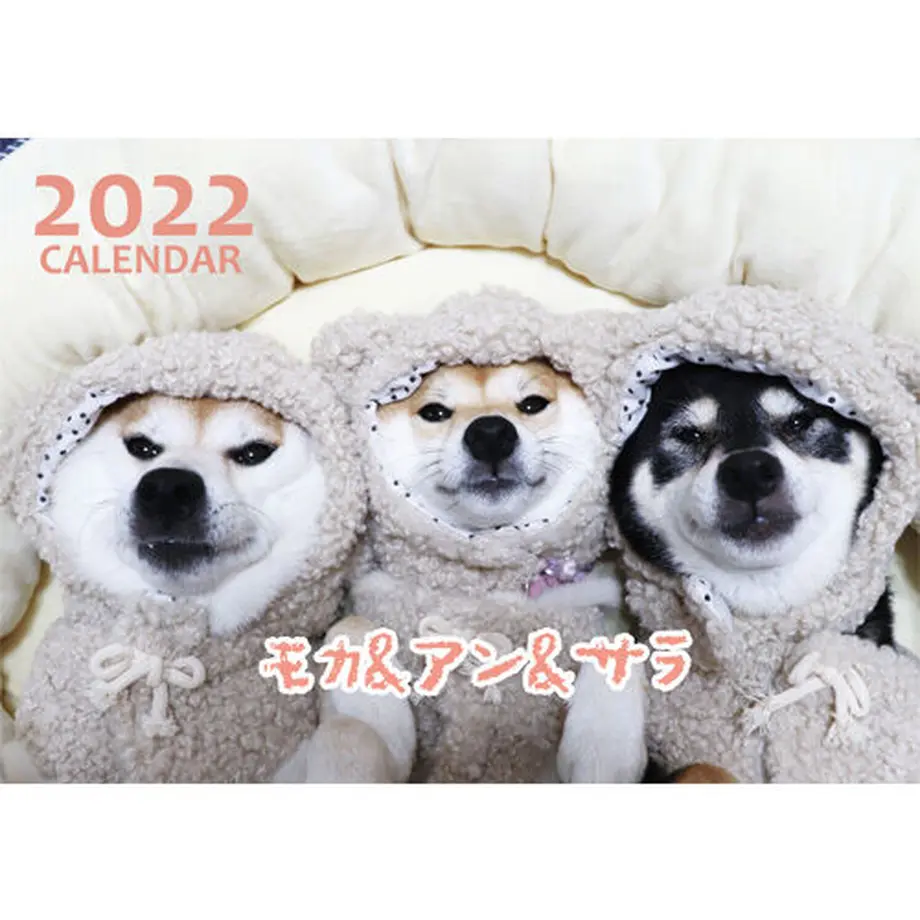 615f8927306ad3172efd2d9e