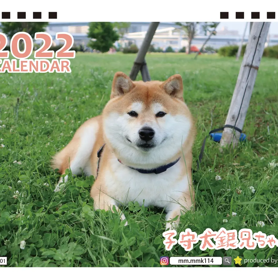 615f98c0acbcb07557d5d93e
