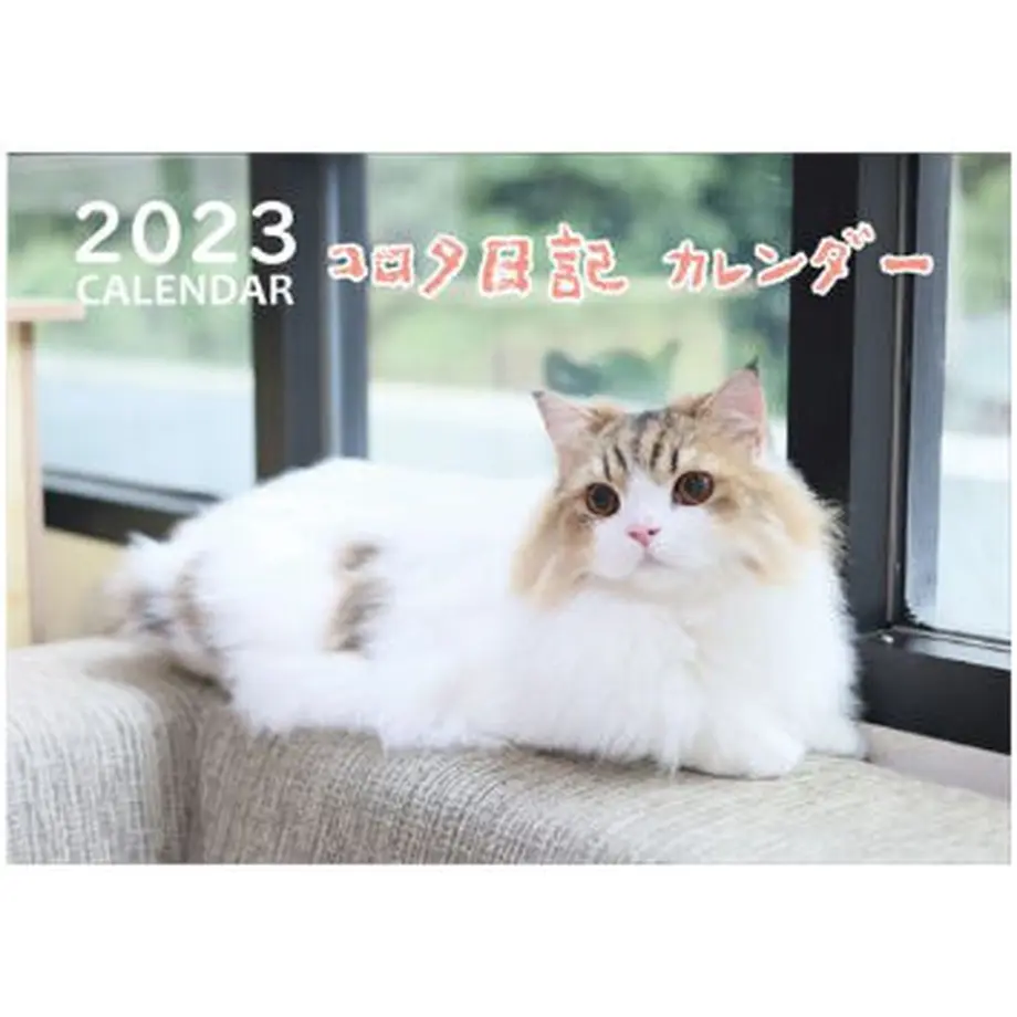 63421f3bd7e1d86b061d8c0b