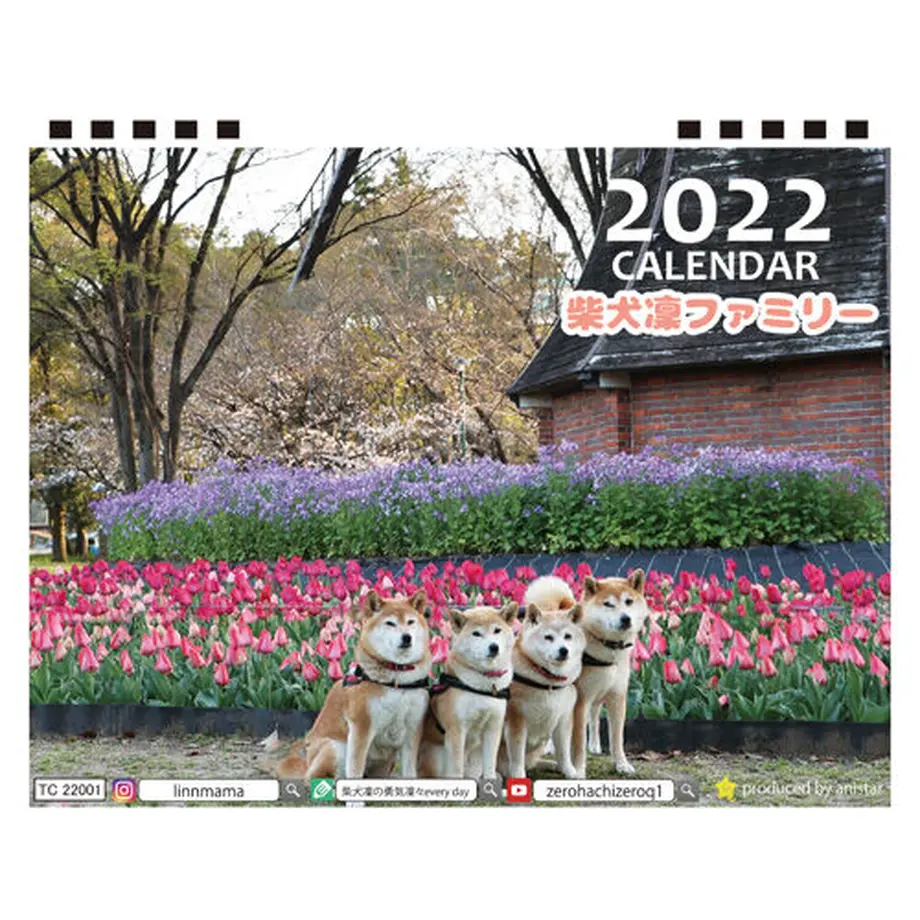 615f89fa8c1a5b38805207e5