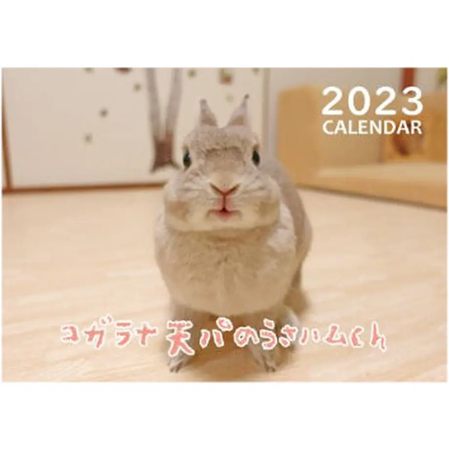 6369c88e5988dc2f7277c08f