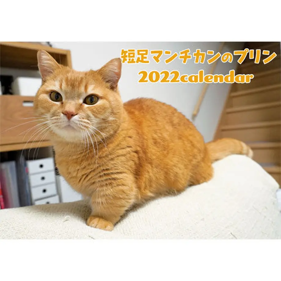615f976947a5340551ca0e5f