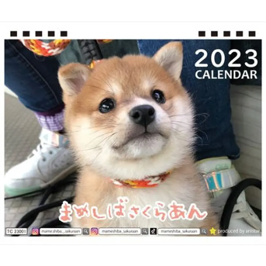 63529eb55976205f7a09f1cb