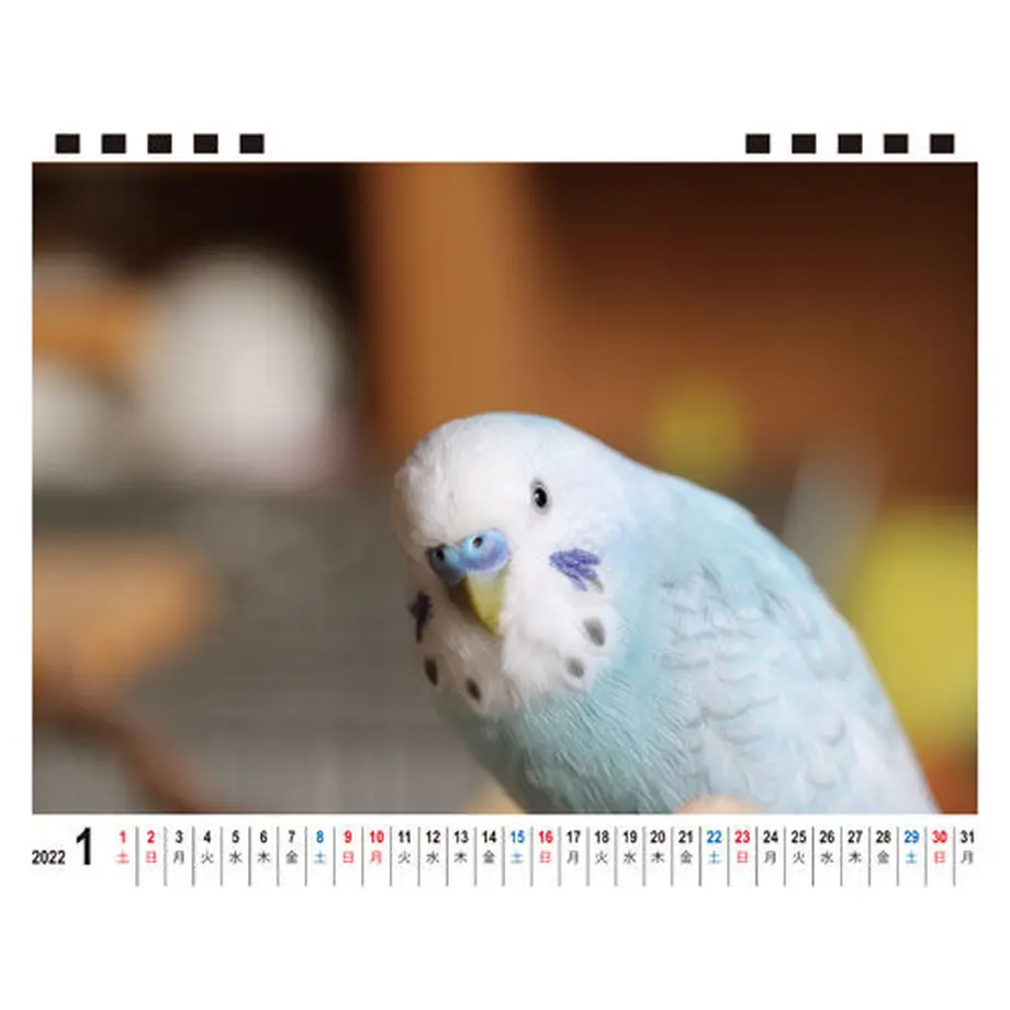 615f6bfdedf49f18638d4002
