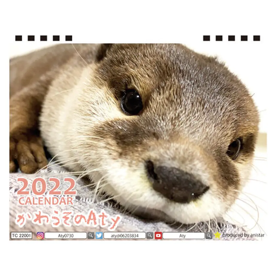 6184fa5b6b6d195470ca783a