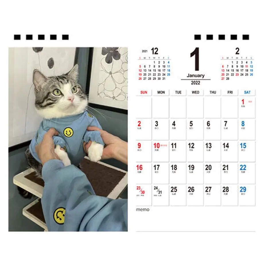 615f86ad306ad303ddfd2feb
