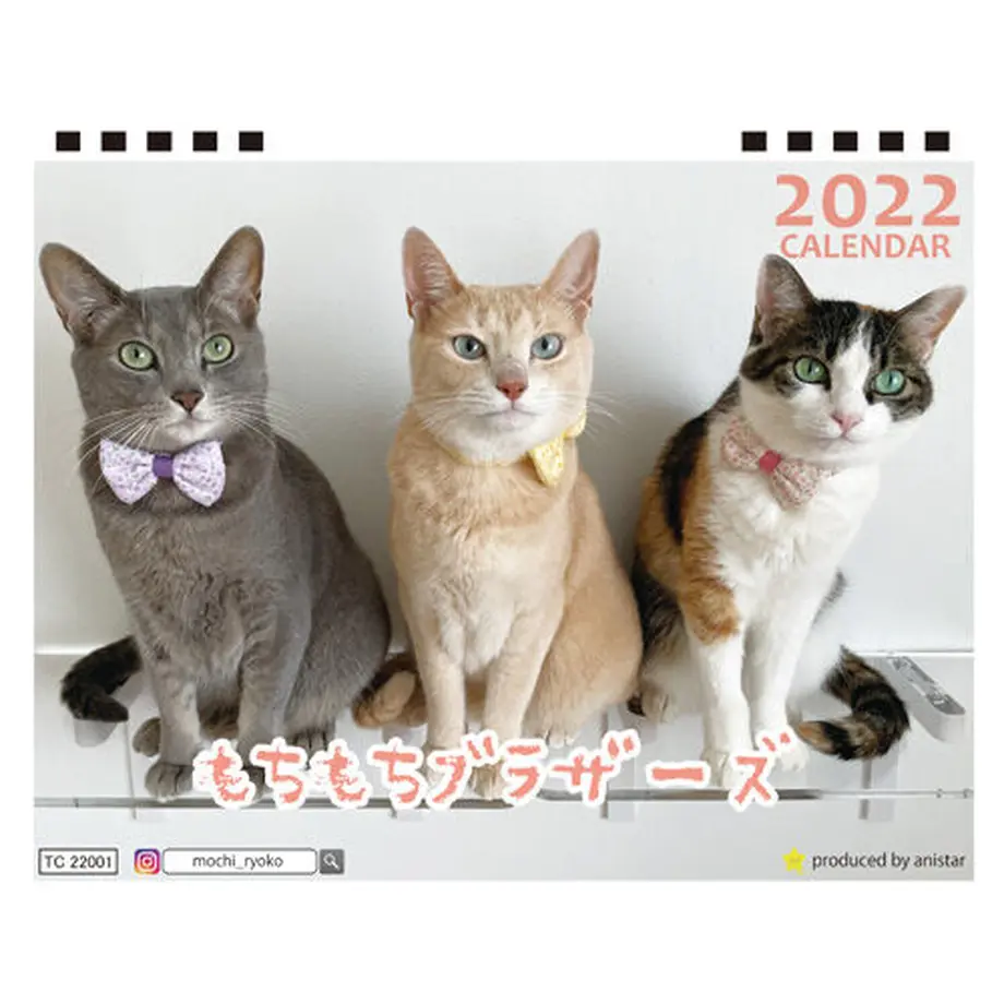 615f9b2e2305570d6bb6fcad