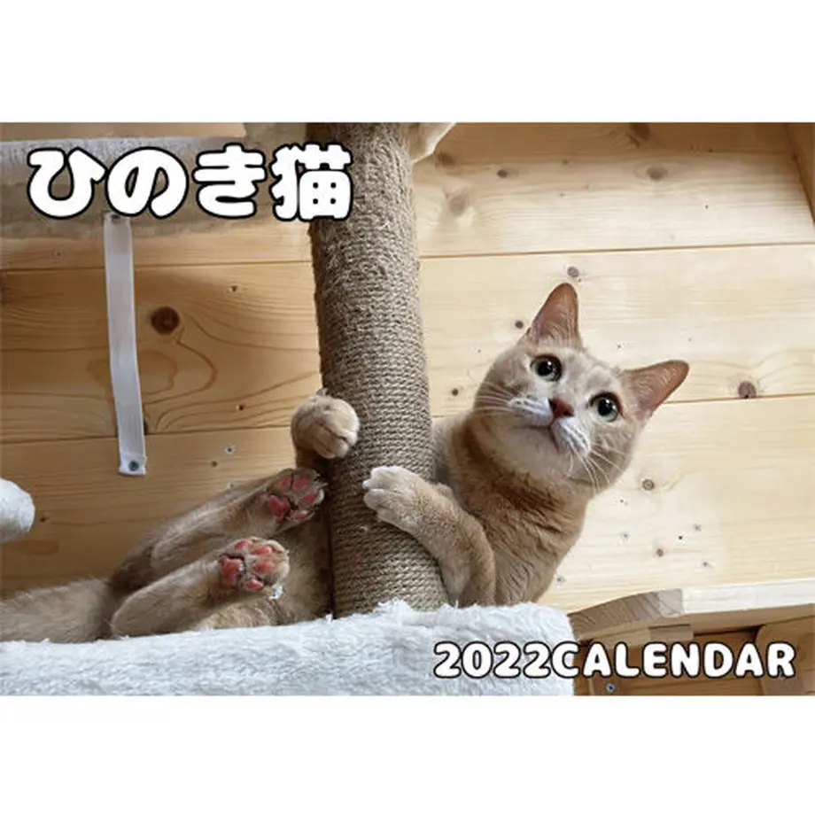 615f935c784e3f137b72a6c7