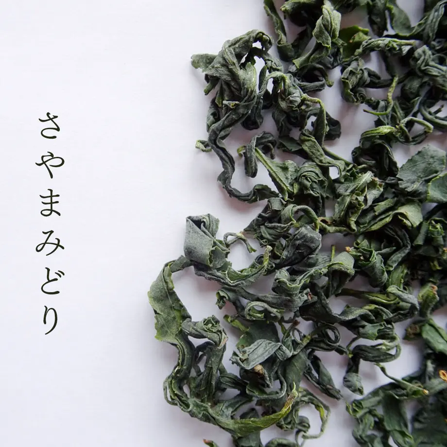 5fdd51398a45722ed13d8177