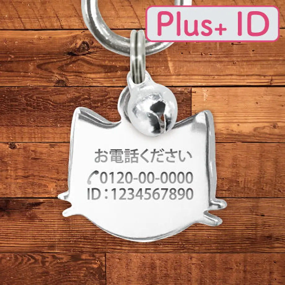 5c7bf144a9ac4c14255c991e