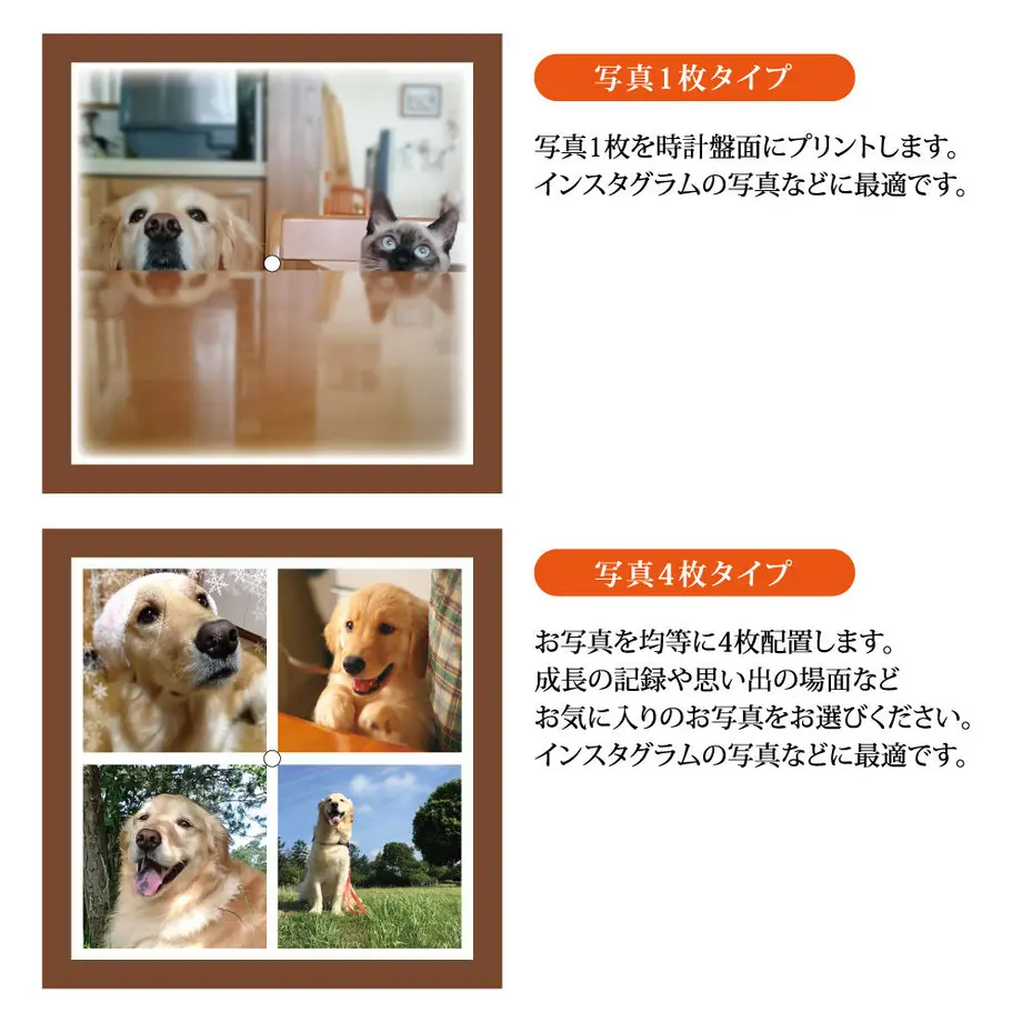 5979b34cf22a5b0886001331