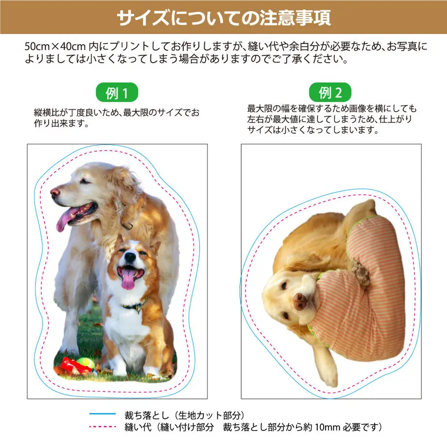 5fd48b9d8a457215d54441df