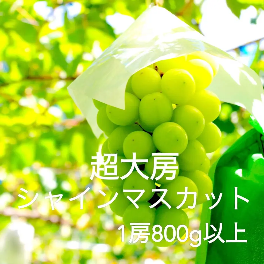 5f9b645b8a45724dd93bf2e4