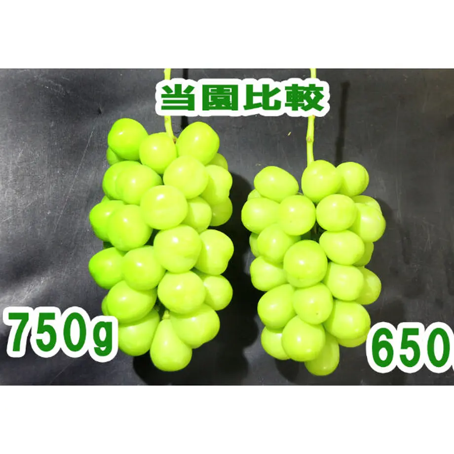 5fa5f36cda019c471f2e09a4