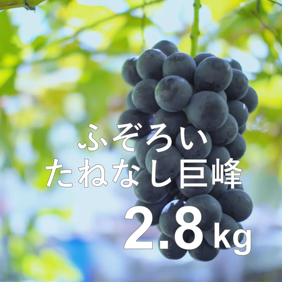 63189f110f9a22653c34c1d4