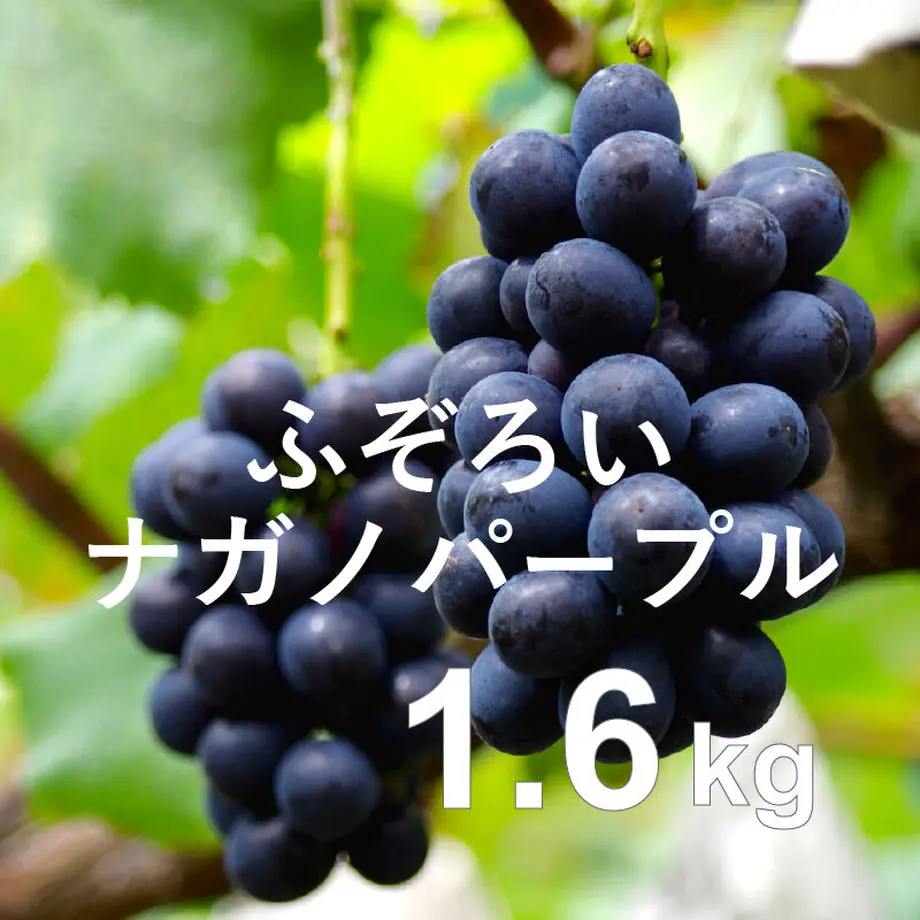 6129086aa92a783f7b1cab77