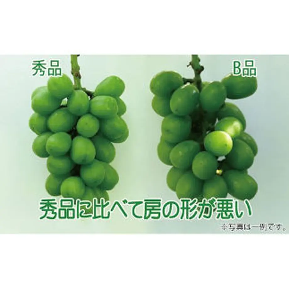 630e1407ef80857579b5172b