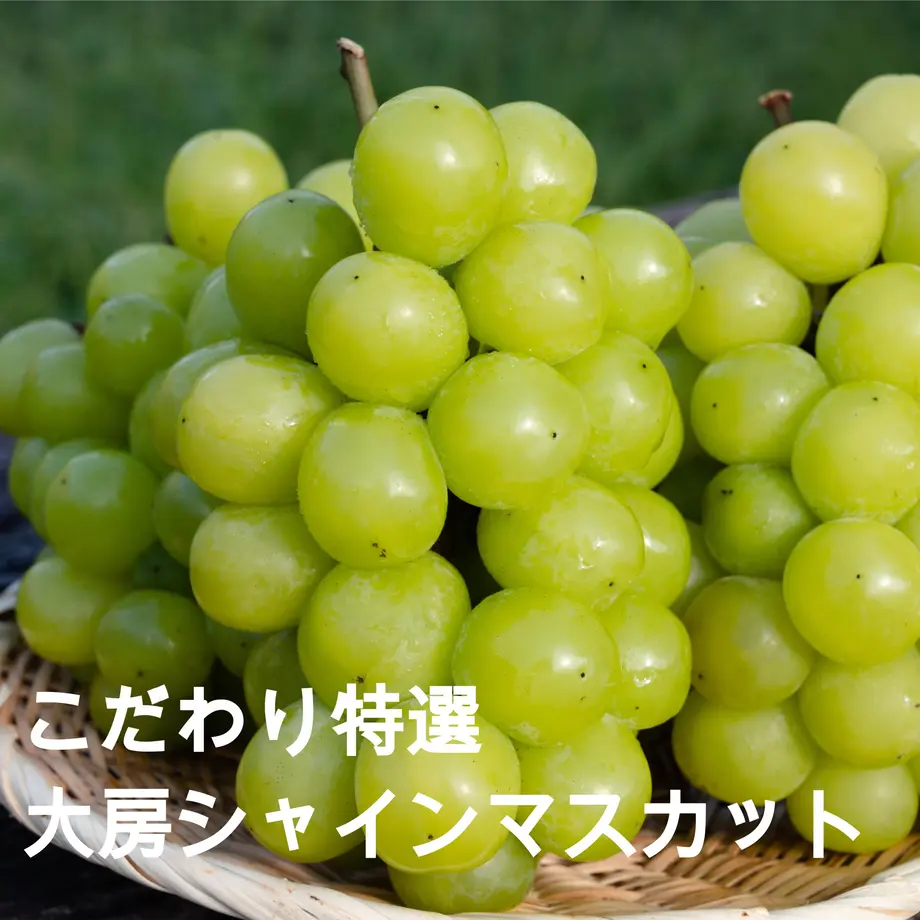 5fa5f36cda019c471f2e09a4