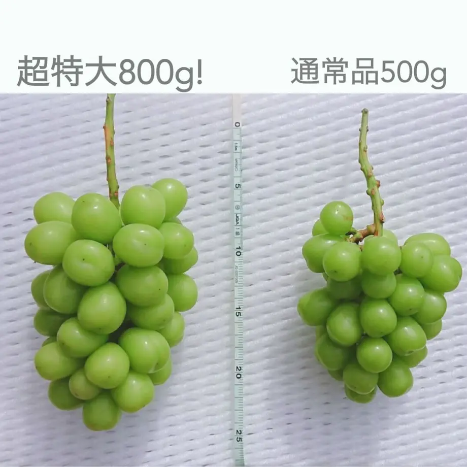 5f9b645b8a45724dd93bf2e4