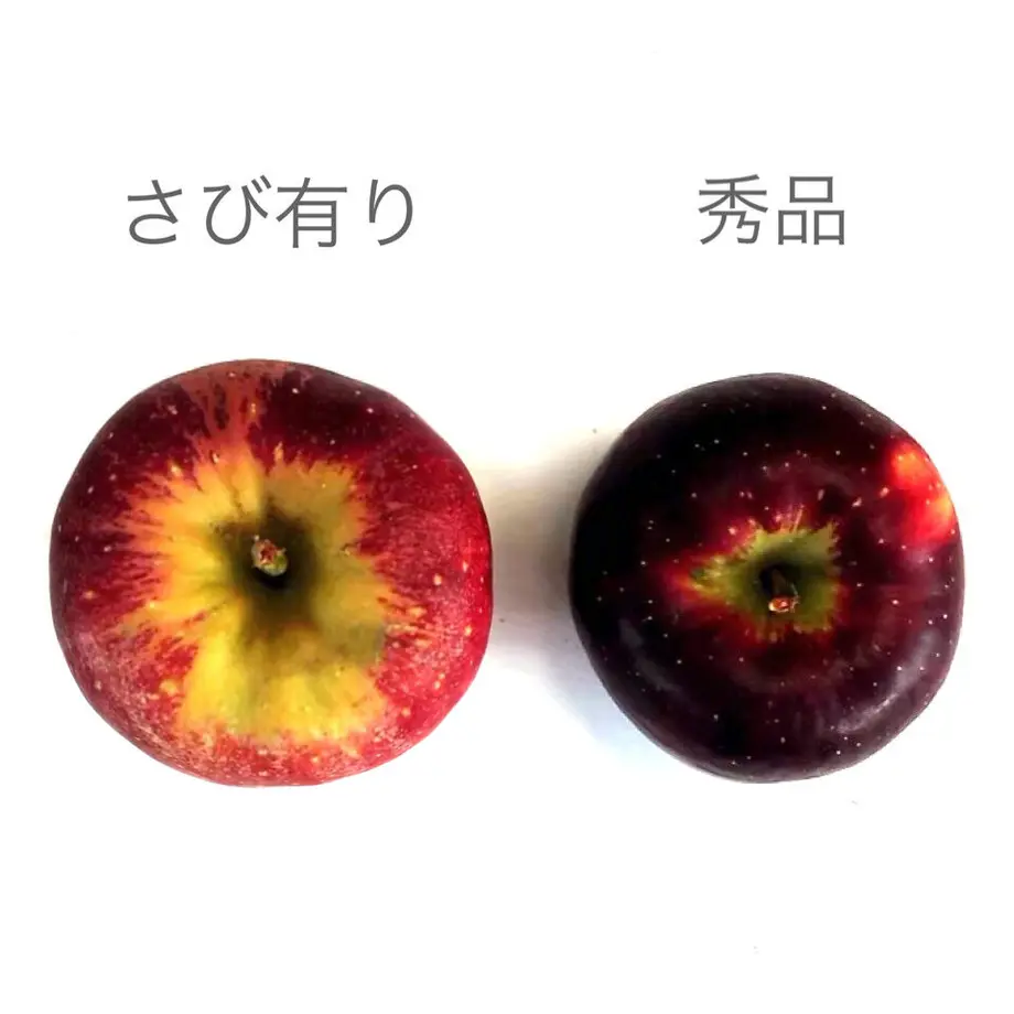 61539e18a10275756c246dc8