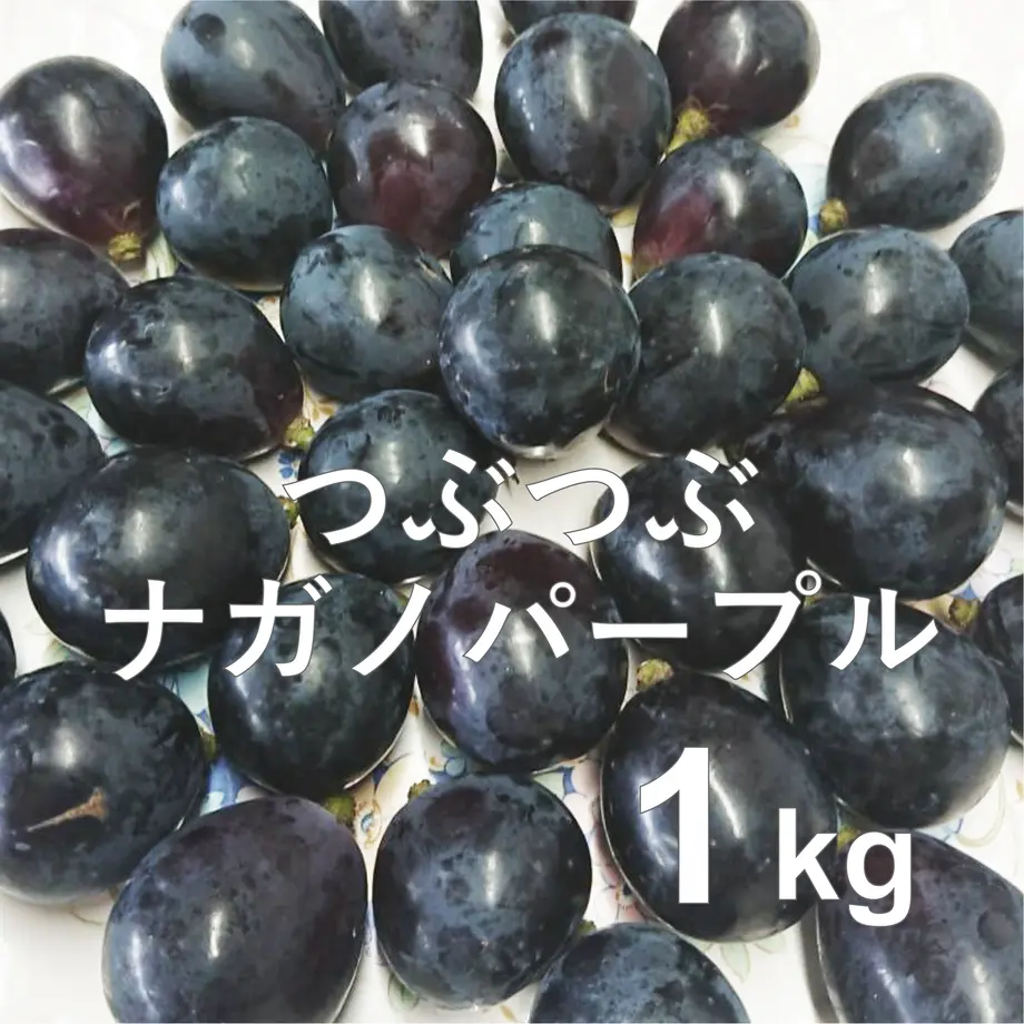 63141bfda32394264ef61c0f