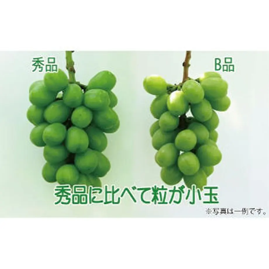 630e1407ef80857579b5172b