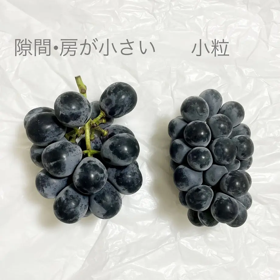 61290f9de50c0b599e12780b