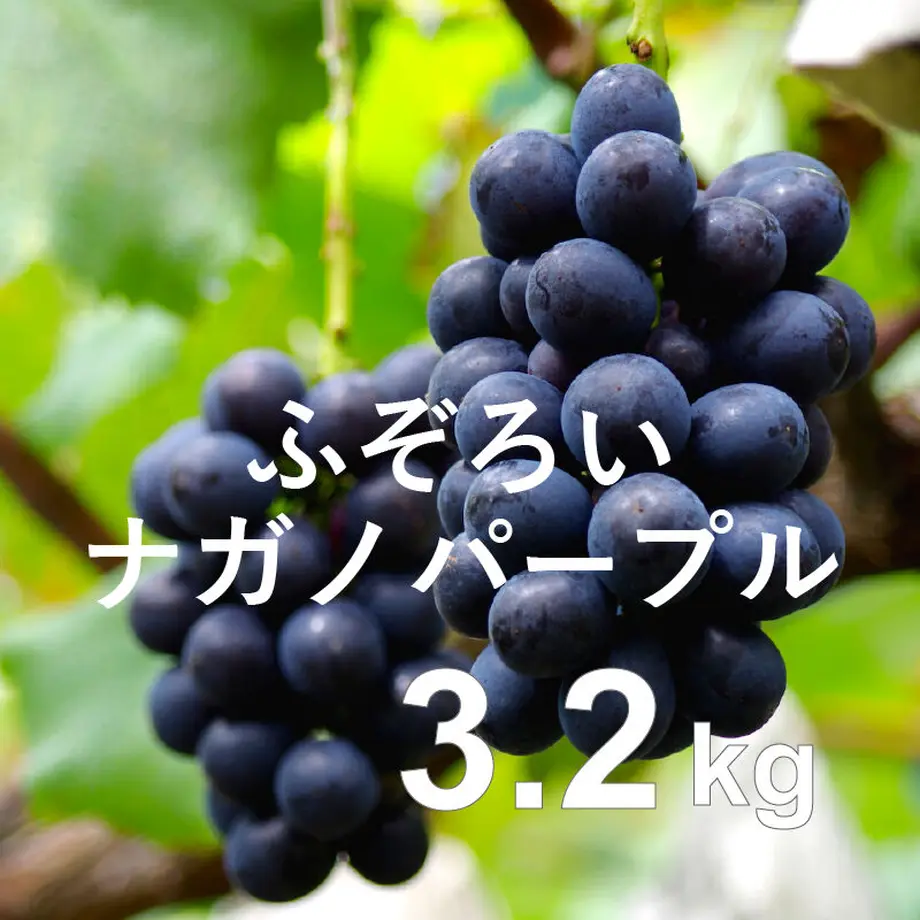 61290f9de50c0b599e12780b