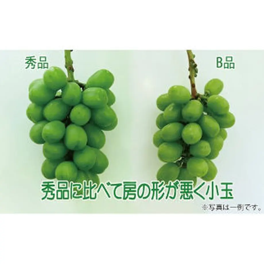 630e1407ef80857579b5172b